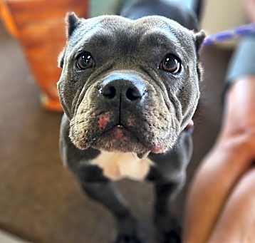 Photo of Birdie
