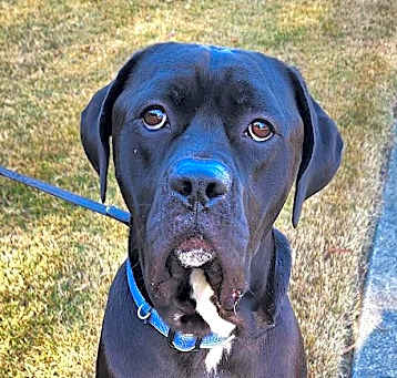 Photo of Barklee