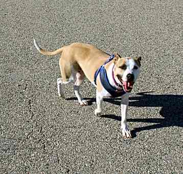 Photo of Emmy