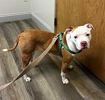 Photo of RUBY