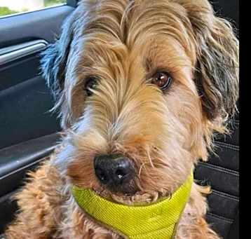 Photo of Winnie