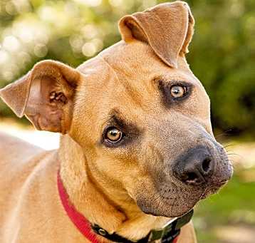 Photo of Ruly
