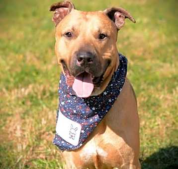 Photo of Hugo