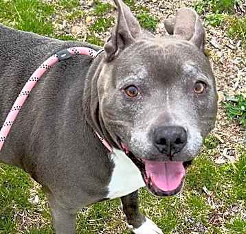 Photo of Ruthie