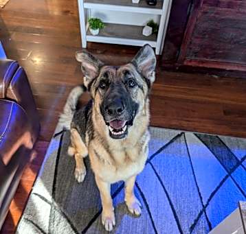Photo of Thor