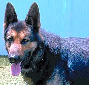Photo of Mack
