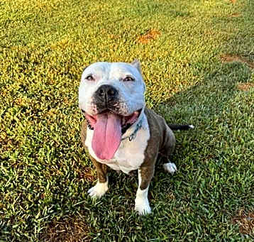 Photo of Betty