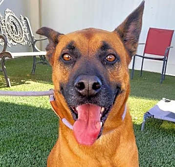 Photo of Olaf