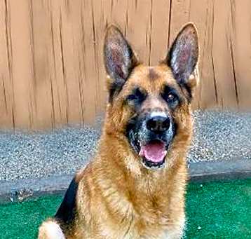 Photo of Mr. Atlas