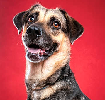 Photo of Cambria