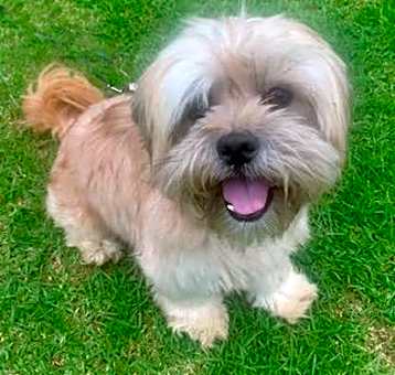Photo of ACE