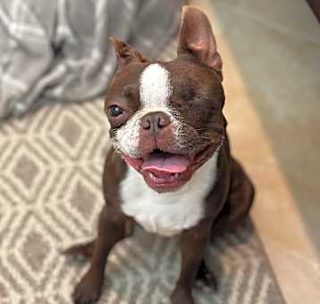 Photo of Bottega