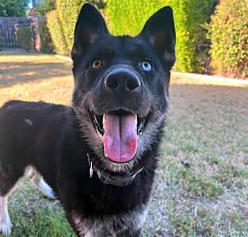 Photo of Cyrus