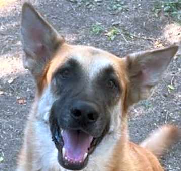 Photo of Patty
