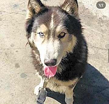 Photo of Oso