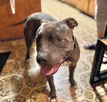 Photo of Lucky