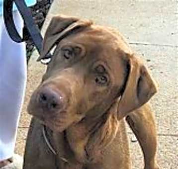 Photo of Delilah