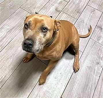 Photo of Chyna