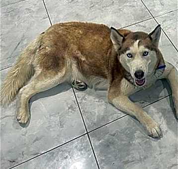 Photo of Coco