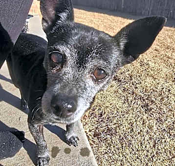 Photo of Jax