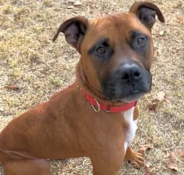 Photo of Lexi