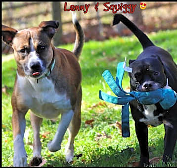 Photo of Lenny & Squiggy