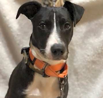 Photo of Lila