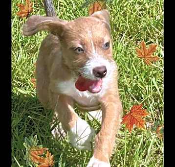 Photo of Misty