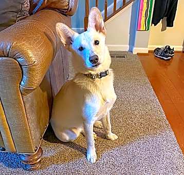 Photo of Winny