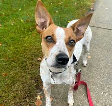 Photo of Lucy