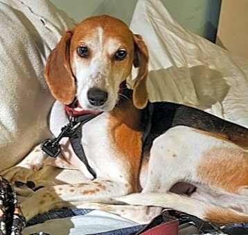 Photo of Missy aka Melissa