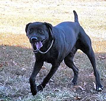 Photo of Cassidy