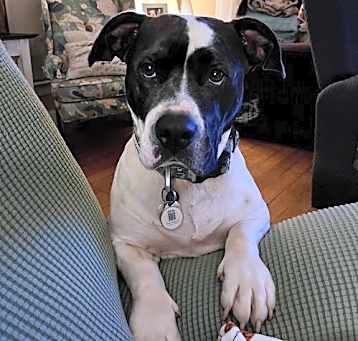 Photo of Sam