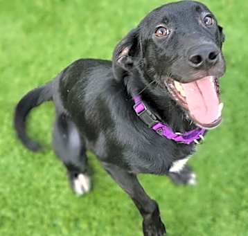 Photo of Tucker