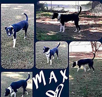 Photo of MAX