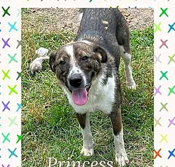 Photo of Princess