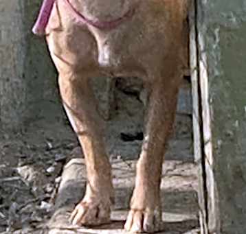 Photo of Eleni