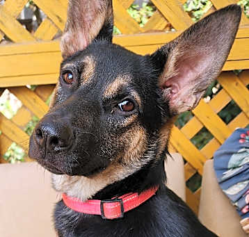 Photo of Mimi