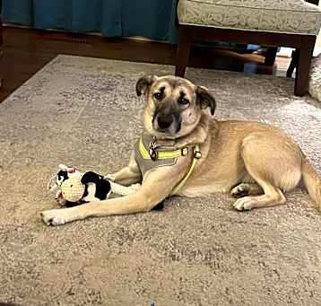 Photo of Diva