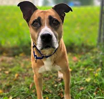 Photo of Maggie