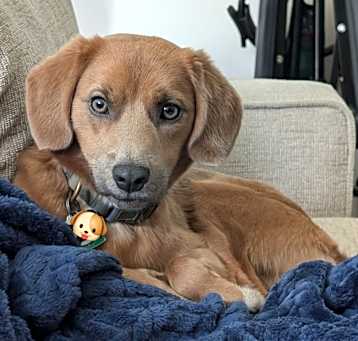Photo of Tedd E. Bear
