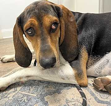 Photo of Gus