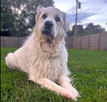 Photo of Nellie