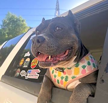 Photo of Maggie