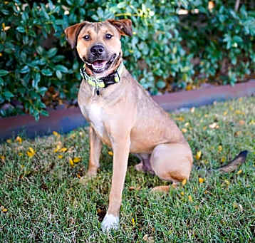 Photo of Leo