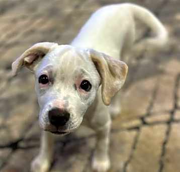 Photo of Sprout