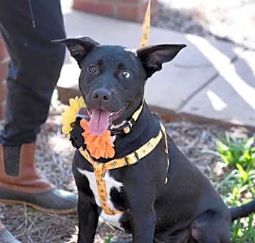 Photo of WINNIE
