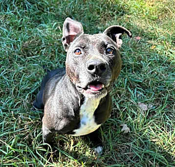 Photo of Beatrice