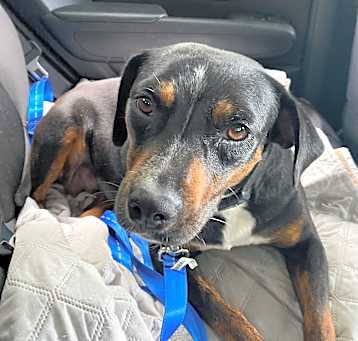 Photo of Shirley