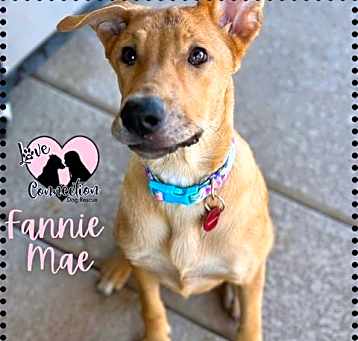 Photo of Fannie Mae